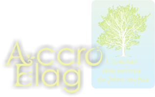accroelag.com